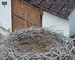 Capi_Dubne_20260802_140503.jpg