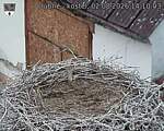 Capi_Dubne_20260802_141003.jpg