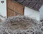 Capi_Dubne_20260802_141503.jpg