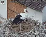 Capi_Dubne_20260802_142004.jpg