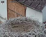 Capi_Dubne_20260802_142502.jpg
