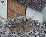 Capi_Dubne_20260802_143003.jpg
