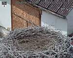 Capi_Dubne_20260802_143503.jpg