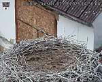 Capi_Dubne_20260802_145004.jpg