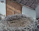 Capi_Dubne_20260802_145502.jpg
