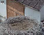 Capi_Dubne_20260802_150004.jpg
