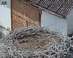 Capi_Dubne_20260802_150502.jpg
