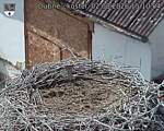 Capi_Dubne_20260802_151004.jpg