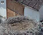 Capi_Dubne_20260802_152504.jpg