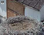 Capi_Dubne_20260802_153502.jpg