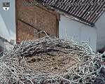 Capi_Dubne_20260802_154004.jpg