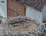 Capi_Dubne_20260802_154502.jpg