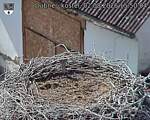 Capi_Dubne_20260802_155004.jpg