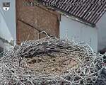Capi_Dubne_20260802_155503.jpg