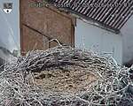 Capi_Dubne_20260802_160503.jpg