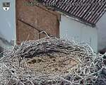 Capi_Dubne_20260802_161004.jpg