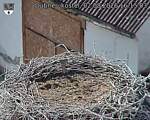 Capi_Dubne_20260802_161503.jpg
