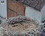 Capi_Dubne_20260802_162003.jpg