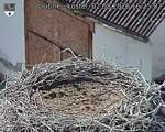 Capi_Dubne_20260802_162502.jpg