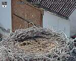 Capi_Dubne_20260802_163004.jpg
