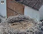Capi_Dubne_20260802_163503.jpg