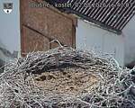 Capi_Dubne_20260802_164003.jpg