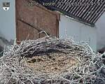 Capi_Dubne_20260802_164502.jpg