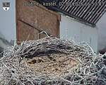 Capi_Dubne_20260802_165003.jpg