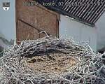 Capi_Dubne_20260802_165503.jpg