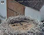 Capi_Dubne_20260802_170002.jpg