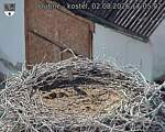 Capi_Dubne_20260802_170502.jpg