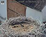 Capi_Dubne_20260802_171003.jpg