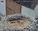 Capi_Dubne_20260802_171503.jpg