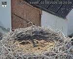 Capi_Dubne_20260802_182004.jpg