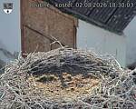 Capi_Dubne_20260802_183003.jpg