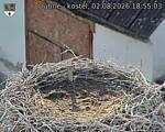 Capi_Dubne_20260802_185503.jpg