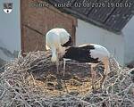 Capi_Dubne_20260802_190002.jpg