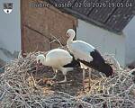 Capi_Dubne_20260802_190504.jpg