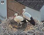 Capi_Dubne_20260802_191004.jpg