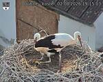 Capi_Dubne_20260802_191503.jpg