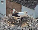 Capi_Dubne_20260802_192004.jpg