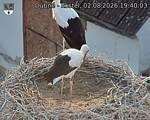 Capi_Dubne_20260802_194003.jpg