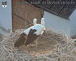 Capi_Dubne_20260802_195003.jpg