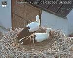 Capi_Dubne_20260802_195503.jpg