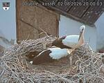 Capi_Dubne_20260802_200003.jpg