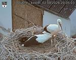 Capi_Dubne_20260802_200503.jpg