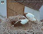 Capi_Dubne_20260802_201004.jpg