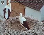 Capi_Dubne_20260802_202004.jpg