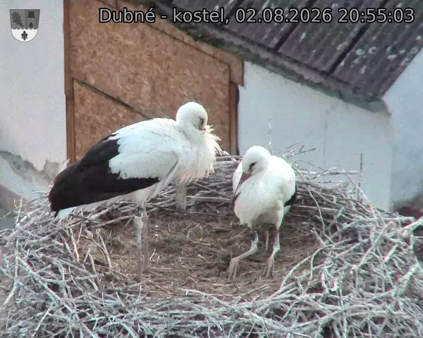 preload