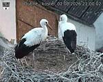 Capi_Dubne_20260802_210002.jpg